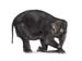 elephant_kneeling_f